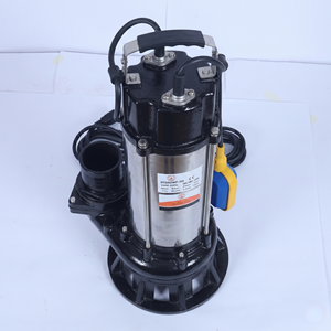 Hydroplus International 3HP Sewage <b>Submersible</b> <b>Pump</b> 65MM Outlet Heavy Duty Wastewater Drain <b>Pump</b> In 220V For Industrial Uses - Product Image 3