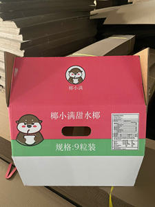 Boîte en carton ondulé personnalisée pour l'emballage et l'exportation de noix de coco fraîches, provenant d'un fabricant agricole vietnamien - Product Image 3