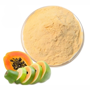 ผงมะละกอเกรดพรีเมียม 100% บริสุทธิ์และเป็นธรรมชาติ ผงมะละกออบแห้งสำหรับไอศกรีม น้ำผลไม้ และสมูทตี้ - Product Image 2