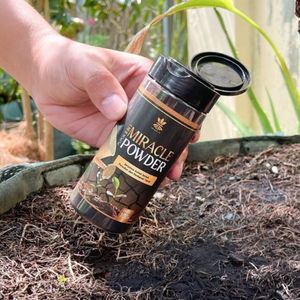 Poudre d'acide humique de haute qualité Infarm, conditionneur de sol organique 100g pour l'agriculture, le jardinage et le soutien de la croissance des plantes - Product Image 5