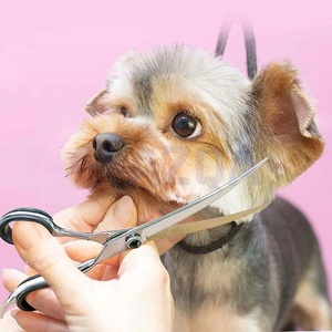 Ciseaux de toilettage professionnels incurvés pour animaux de compagnie avec lames affûtées, finition miroir et vis réglable pour la coupe des poils de chiens et de chats - Product Image 5