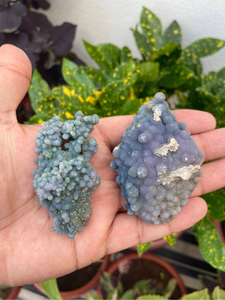 Large Grape Agate <b>Crystal</b> Set 2 | Natural Purple Blue <b>Raw</b> Druzy Gemstone | Polished Feng Shui Collector Display Pair | Love Home - Product Image 1