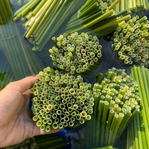 หลอดดูดแบบใช้แล้วทิ้งที่ผ่านการรับรอง Eco2go เวียดนามสำหรับร้านกาแฟและใช้ในบ้าน - Product Image 4