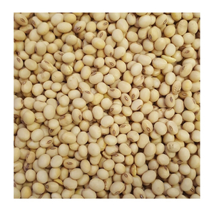 Soja Natural a Granel Sin GMO Lista para Exportar para la Industria Alimentaria y Compradores Comerciales - Product Image 6