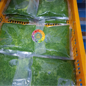 ใบมันสำปะหลังแช่แข็ง แหล่งผลิตเวียดนาม จาก 99GD / Hojas De Yuca Congeladas Origin Vietnam - CARYLN - Product Image 3