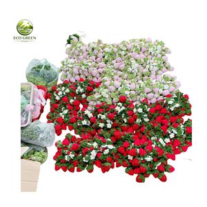 Handmade Crochet Hanging Blossom Flower Basket Decorative Knitted Planter Wall <b>Ornament</b> for Housewarming Birthday Gift Ideas - Product Image 5