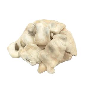 Vente en gros de corossol séché de qualité supérieure à bon prix de fournisseurs vietnamiens - Product Image 1