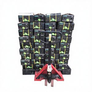 Citron vert sans pépins de qualité supérieure, naturel, frais, du Vietnam - Normes internationales, bon pour la santé, type ANNA DO - Product Image 1