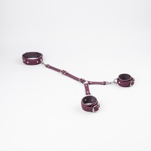 Kit de 11 Pièces de Contraintes en Cuir Véritable Vintage OEM Personnalisé, Équipement de Bondage Robuste de Qualité Supérieure, Jouets pour Adultes, Fournisseur d'Usine RTTS-0024 - Product Image 2