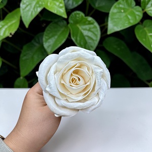 ดอกไม้ไม้โซลา VADEE SOLA WOOD FLOWER ทำมือ งานฝีมือแบบยั่งยืน ดอกกุหลาบคลาสสิก ไม้โซลา 8.5 ซม. ก้านใยพืชเซสบานียา ประเทศไทย - Product Image 6