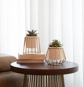 Gold Wire Succulent Planter Stand Set Indoor Tabletop Flower <b>Pot</b> <b>Holder</b> Modern Decorative Plant Display Rack - Product Image 1