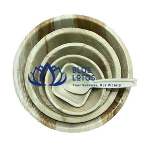 Assiettes jetables biodégradables en feuilles de palmier de 10 pouces, lot de 50, écologiques, pour barbecue et dîner – Vente chaude en gros - Product Image 1