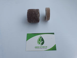 Venta caliente Coco Peat Pellets Green Future Vietnam's Bloque de alta calidad Cocopeat Pellet para plantar/Coco Coir Green Future Vietnam - Product Image 5