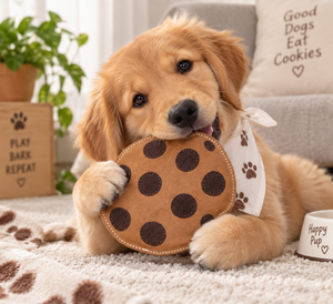 Proveedor de Juguetes para Mascotas de Cuero de Gamuza para Importadores y Distribuidores de Divine International - Product Image 3