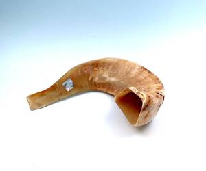 Shofar de Cuerno de Carnero Molido a Mano, Semipulido, Natural, Kosher, Judío, de 13-15 pulgadas (30-34 cm) - Product Image 3
