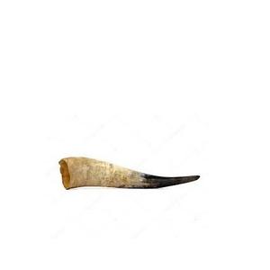 Mug à boire Viking artisanal en corne de buffle vintage, forme cloche naturelle, métal laiton fait main, vente en gros pour la bière - Product Image 2