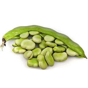 Mijo Indio Natural, Alto en Proteínas, Suministro a Granel - Product Image 1