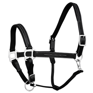 Cabestro de Cuero Premium Estilo Cabezal de Caballo con Forro Suave Modelo DI'LH'007 de Divine International Uttar Pradesh - Product Image 3