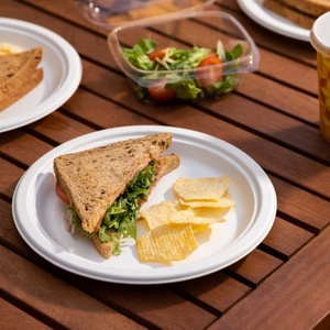 Sustainable Bagasse 6 Inches Round Dinnerware for Events Natural Catering Dinnerware Durable Party & <b>Pasta</b> Plates Outdoor Events - Product Image 1