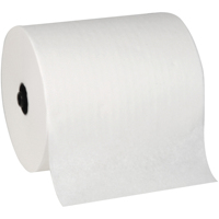 Serviettes et rouleaux de papier de cuisine jetables compostables en pulpe de bambou 2 plis personnalisables