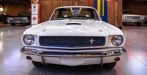 Classique d'occasion, S-he-llby M-uis-ta-ng GT-350 de 1965 - Product Image 3