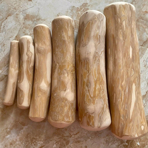 Palitos de Madera de Café de Vietnam para Perros, Masticables Naturales para Mascotas, Proveedor al por Mayor - Product Image 1