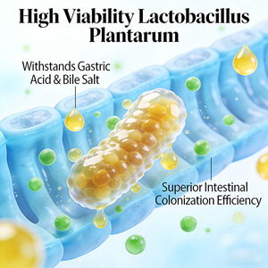 Probióticos Havenova de Fábrica, 10-100 Mil Millones de UFC, Polvo Liofilizado Activo, <span class=keywords><strong>Lactobacillus</strong></span> Plantarum de Grado Alimenticio - Product Image 3