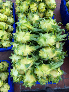 Dragon <span class=keywords><strong>fruit</strong></span> jaune ODM <span class=keywords><strong>de</strong></span> haute qualité, norme d'exportation courante, frais, 100% naturel, OEM - Product Image 5