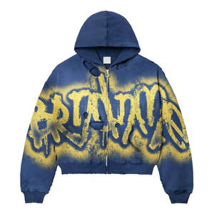 Factory <b>Direct</b> Customized Pullover Hoodie 100% Cotton Fleece Embroidered <b>Beaded</b> Winter Low MOQ Supplier - Product Image 1