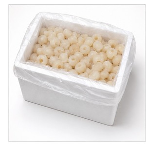 Longan Congelado IQF de Vietnam, Delicioso, con Certificación ISO, Precio de Fábrica, en Bolsa de 5 kg, Superventas - Product Image 5