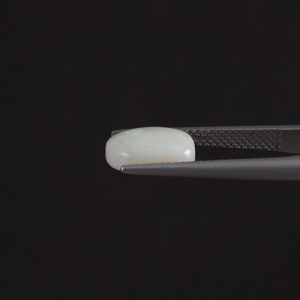 โอปอลสีขาวธรรมชาติแบบขายส่ง น้ำหนัก 2.51 กะรัต รูปทรงคุชชั่น ขนาด 11x8.5 มม. ได้รับการรับรองจาก IGI ขัดเงาด้วยมือ ลงแว็กซ์/น้ำมัน - Product Image 2