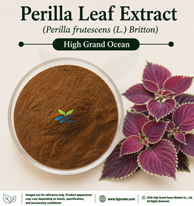 สารสกัดจากใบเพริลลา (Perilla frutescens (L.) Britton) จากโรงงาน HGO โดยตรง (เกรดอาหาร) อัตราส่วน 4:1 5:1 10:1 20:1 100:1 - Product Image 1