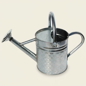 Wholesale Durable Galvanized Metal Watering Can With Wooden Handle Large Capacity Vintage Style Rust-Resistant <b>Garden</b> Water Pot - Product Image 3