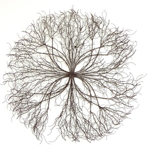 เหล็กดอกไม้ตกแต่งบ้านและตกแต่งผนังตกแต่งรายการที่ใช้ในบ้านร้านอาหารและโรงแรมชุดของ2 - Product Image 4