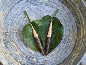 Ensemble de crochets à tricoter en bois faits à la main, design ergonomique, durable, écologique, confortable, qualité supérieure, cadeau pour les tricoteuses - Product Image 5