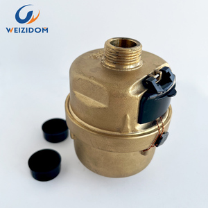 มิเตอร์น้ำทองเหลืองแบบลูกสูบหมุนวัดปริมาตร DN20 ราคาโรงงาน พร้อมระบบปิดผนึกของเหลว รับผลิตแบบ OEM/ODM ตามสั่ง - Product Image 3