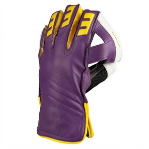 Fabricant direct de gants de gardien de but de cricket, vente en gros, personnalisation OEM et marque privée, approvisionnement en gros pour la distribution mondiale - Product Image 1