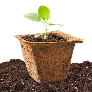 Macetas de Fibra de Coco Biodegradables para Plantas y Flores, Contenedores de Cultivo Ecológicos con Diseño Circular - Product Image 3