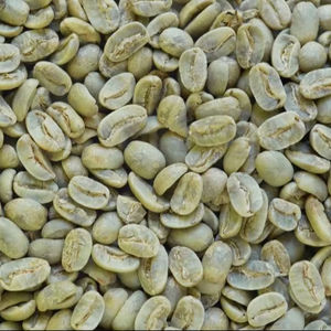 Vietnam Premium Specialty Arabica Green Coffee <b>Beans</b> Size 18 TNFOOD Brand High Quality Grade G1 G2 98% Mature Wholesale Export - Product Image 1