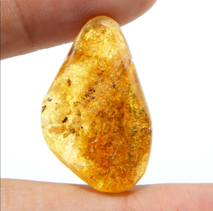 Natural Baltic <b>Amber</b> Cabochon Shape Fancy Gemstone 13 Carat <b>Amber</b> Yellow Size 31x19x8 mm for Jewelry Making - Product Image 3