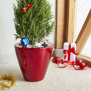 Set di 2 Vasi Intelligenti Autoirriganti a Forma di Cono Rosso per Uso Interno ed Esterno - Product Image 1