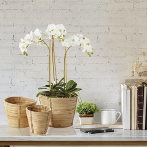 Decoraciones de plantas para el hogar en venta, macetas de alta calidad para exhibir plantas, macetas de ratán, soportes para plantas verdes. - Product Image 3