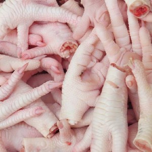 เท้าไก่แช่แข็งฮาลาล IQF ทำความสะอาดแล้ว บรรจุภัณฑ์แบบกล่องใหญ่ คุณภาพส่งออก สำหรับผู้นำเข้า ผู้ค้าส่งอาหาร - Product Image 4