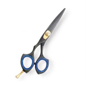 Ciseaux de coiffure professionnels, lame en acier inoxydable, pointe fine, manche long, pour droitiers, manche en plastique, accents bleus - Product Image 2