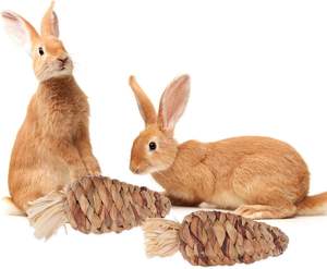 Handcrafted botanical woven carrot grass toys for small pets safe edible interactive playtime item guinea pigs and chinchillas - Product Image 2