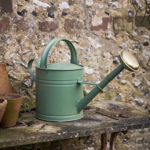 <b>Small</b> metal watering can for home plants <b>desk</b> decor lightweight easy pouring long spout corrosion resistant - Product Image 1