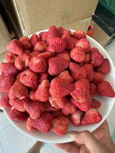 Fraises lyophilisées de haute qualité, collation de fruits naturels croustillants pour boulangerie, boissons, thé, vente en gros, exportation Vietnam - Product Image 4