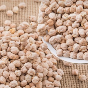 Pois chiches en conserve en saumure, conditionnés en vrac, certifiés HACCP/Kosher, durée de conservation de 3 ans pour la revente - Product Image 4