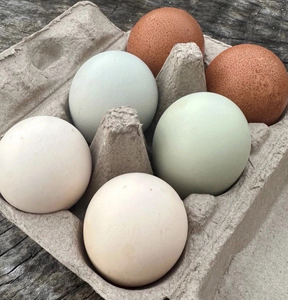 Huevos Frescos de Gallina de Granja, Naturales, Fuente de Proteína de Alta Calidad para un Estilo de Vida Saludable - Product Image 4