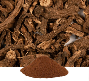 Poudre d'extrait pur de racine de Coleus Forskohlii, ingrédient botanique naturel à base de plantes pour les compléments alimentaires et les formulations de bien-être - Product Image 5